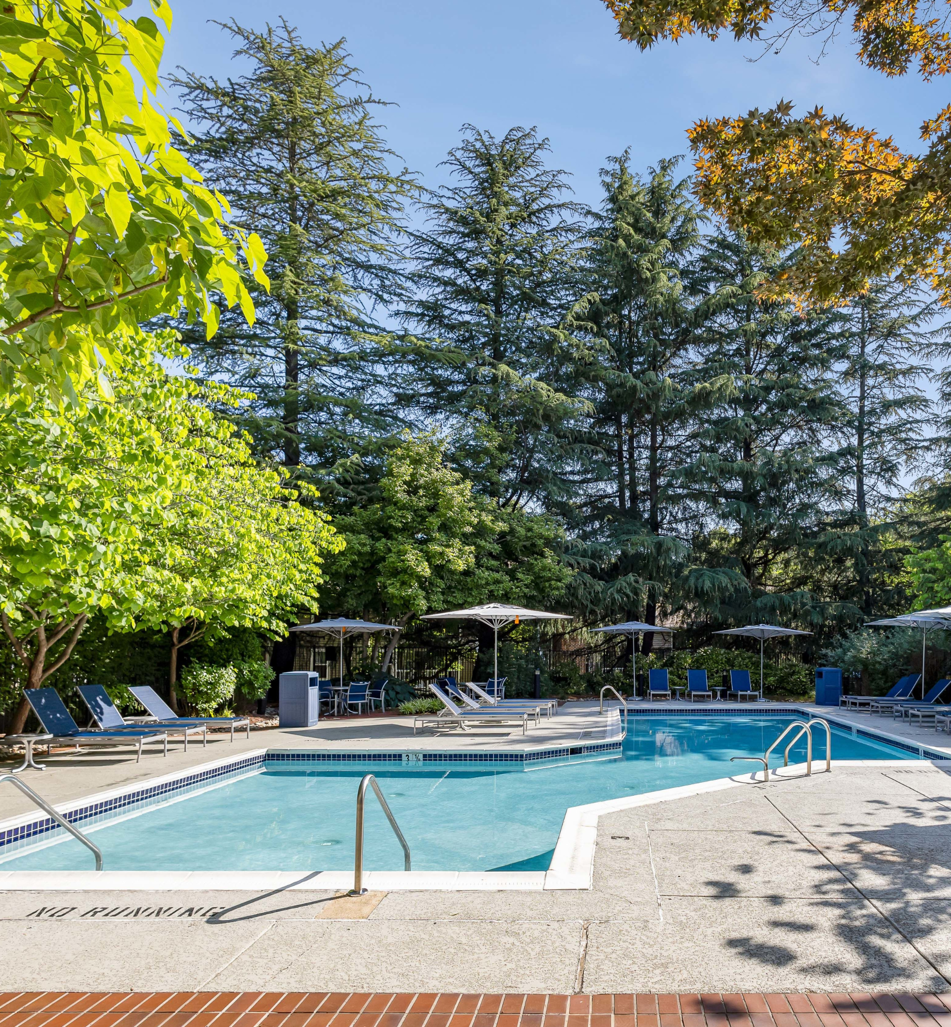 Burke Shire Commons - Burke, VA - Pool